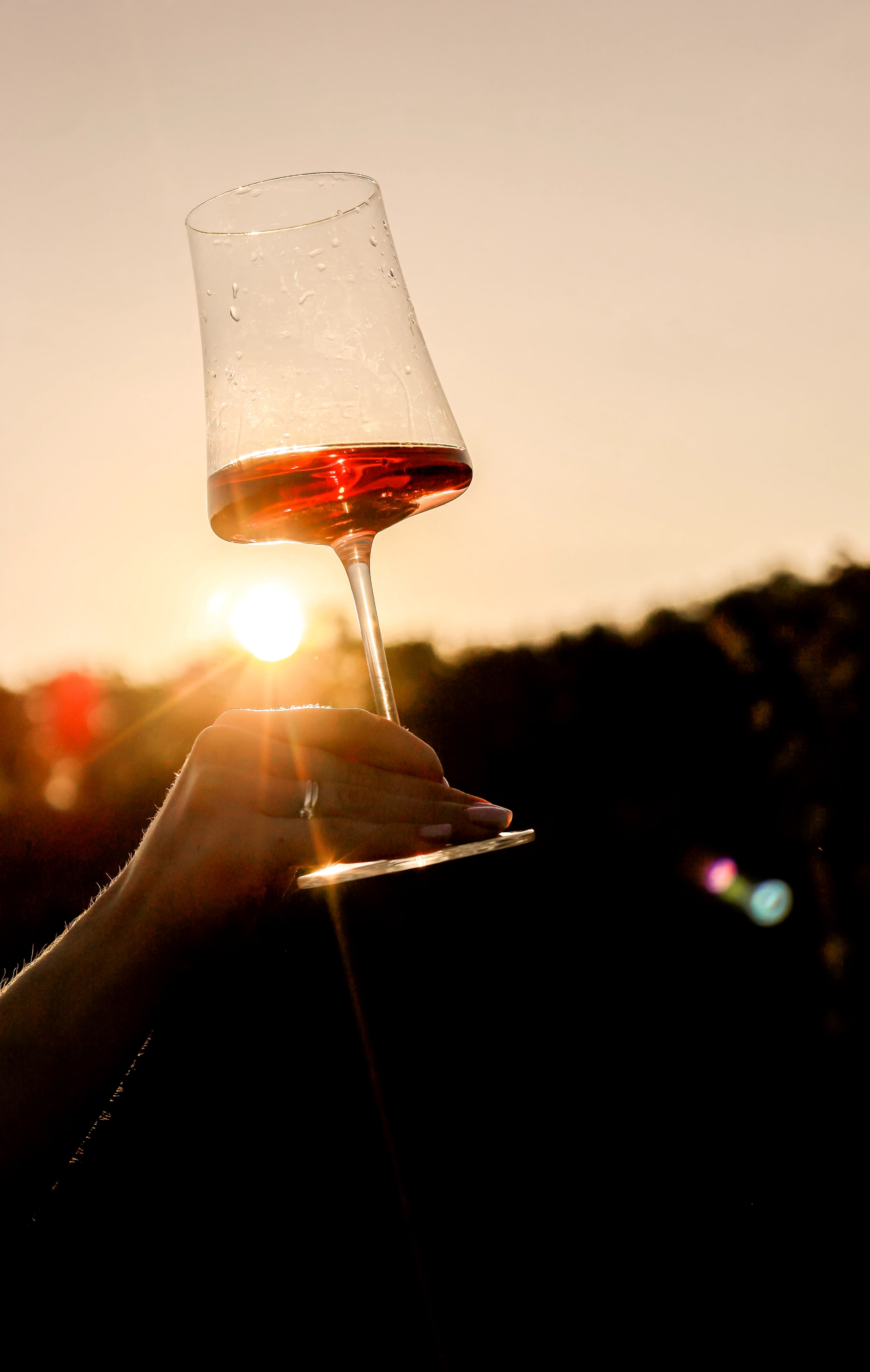 hand which is holding wine